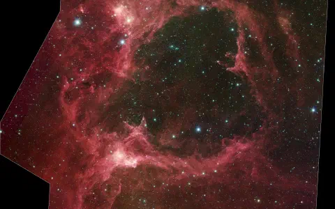 Spitzer Reveals Stellar Family Tree
