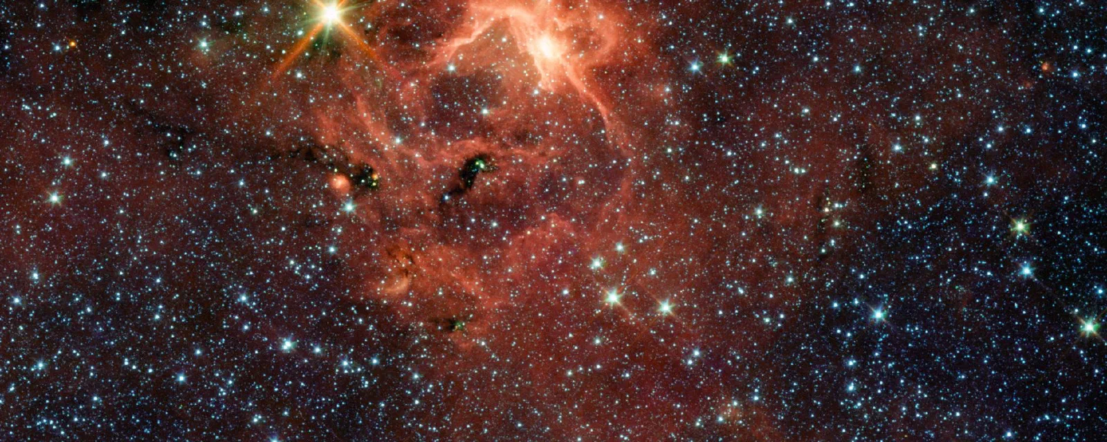 Massive Young Star and its Cradle
