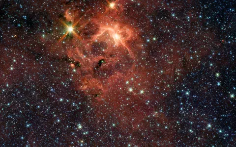 Massive Young Star and its Cradle