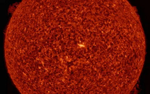 Opposing Solar Prominences