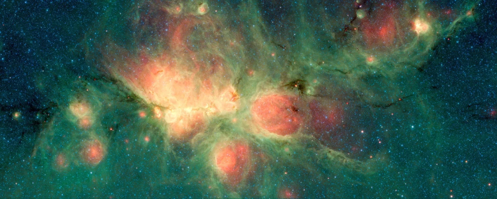 Cat's Paw Image 1
