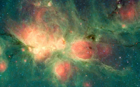 Cat's Paw Image 1